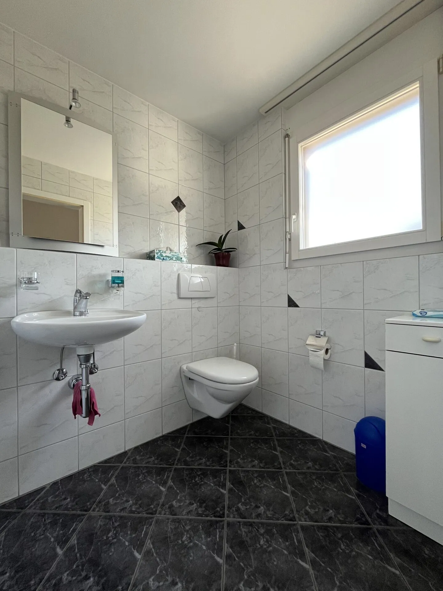 Your Living Happiness in Nebikon with a View of the Green - Photo 6 of 16