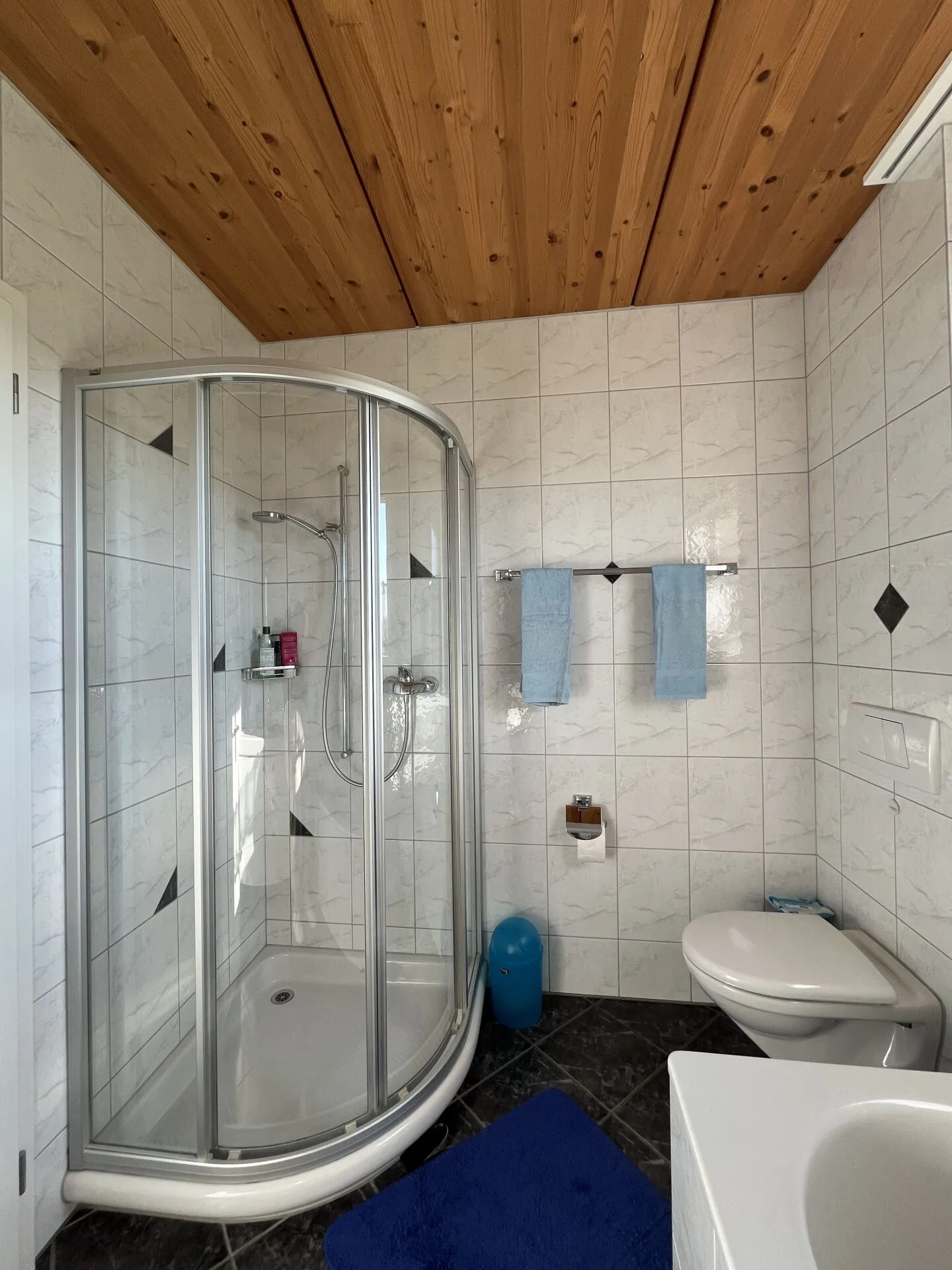 Your Living Happiness in Nebikon with a View of the Green - Photo 13 of 16