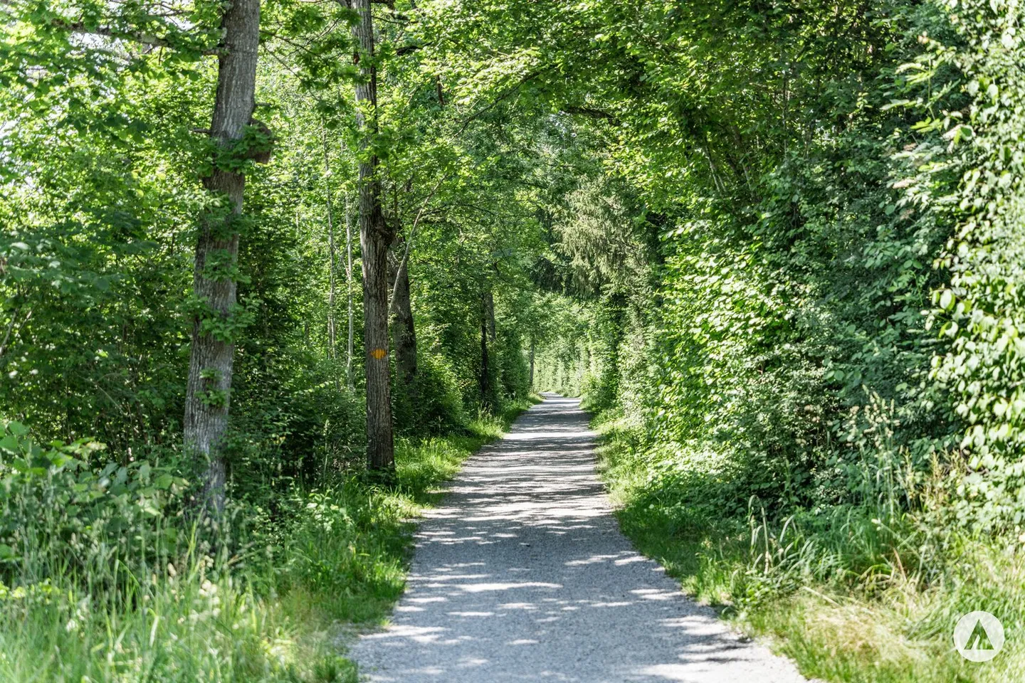 New construction project "ciel bleu" - Photo 10 of 13