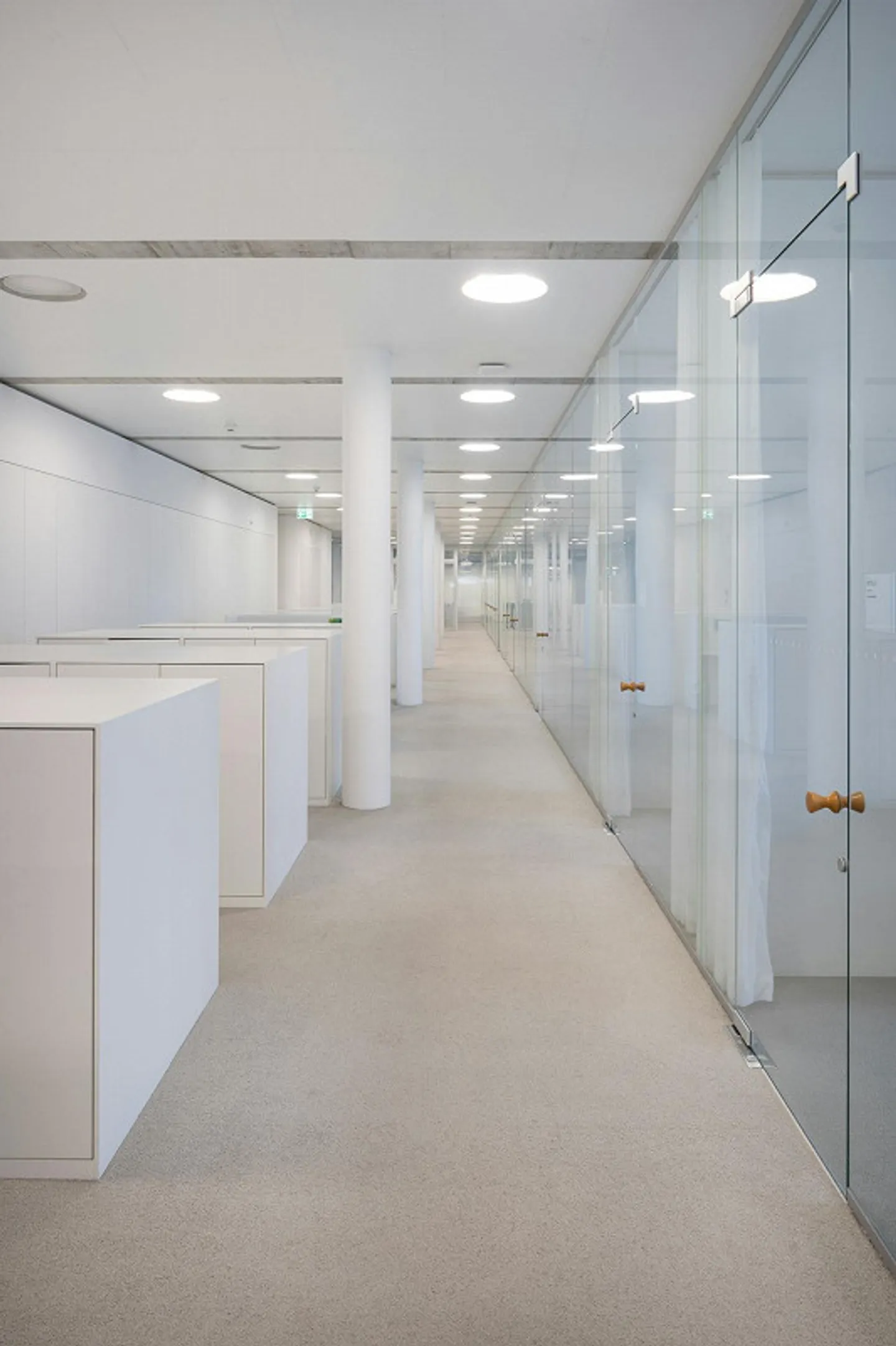 SONUVO - HUB UFFICIO & SCIENZE DELLA VITA ALLSCHWIL - Foto 8 di 12