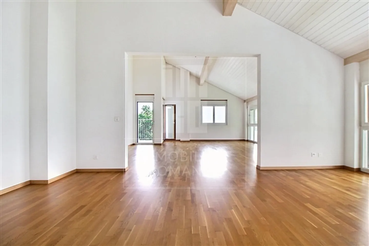 Magnificent 7-room apartment in Jussy - Photo 12 of 14