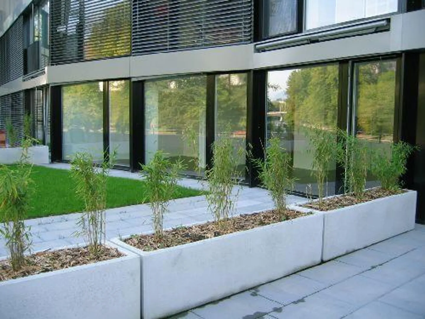 Modernes Apartment an der Reuss - Foto 6 von 8