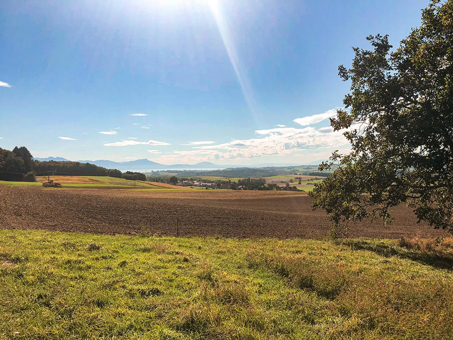 Appartamento 4.5 stanze - Foto 3 di 3