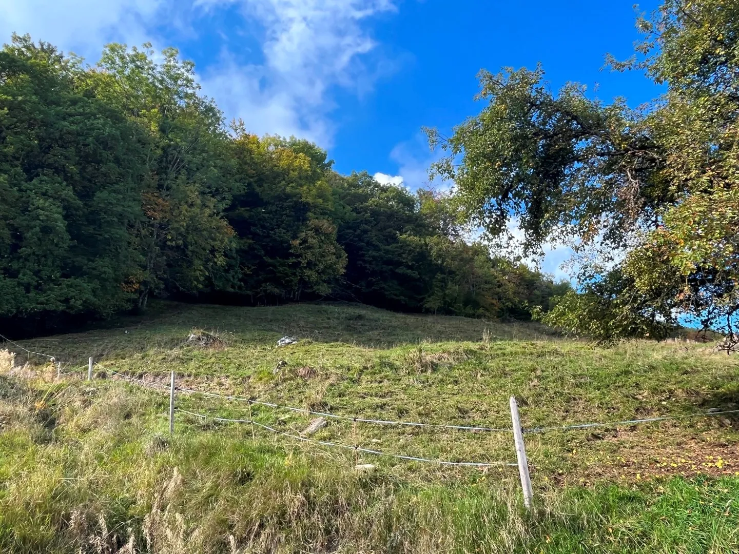 Terreno edificabile - 1'990 M2 - Les Neyres - Foto 2 di 4