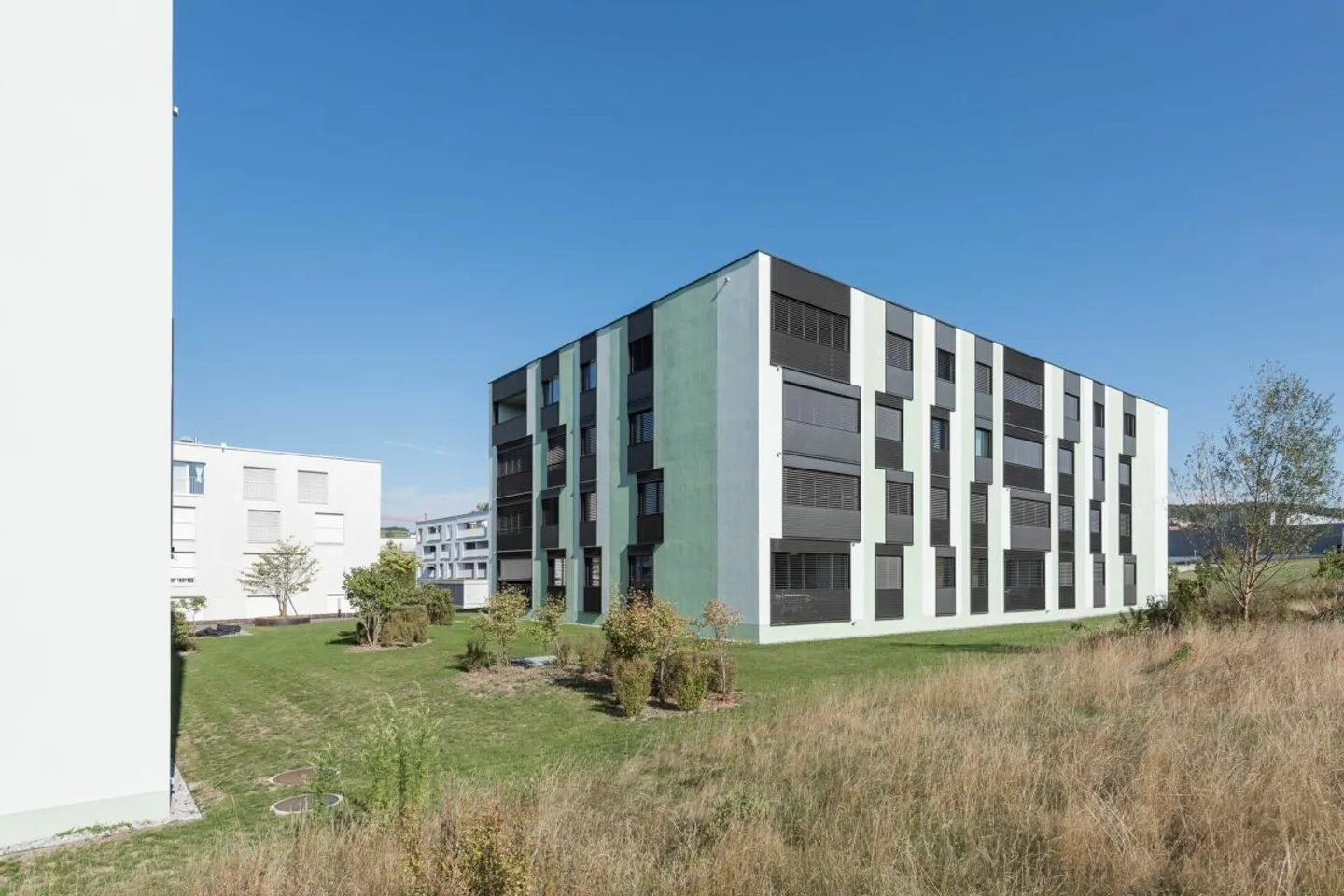 Bright room in modern 3.5-room apartment in Bülach (2-person shared flat) - Photo 1 of 10