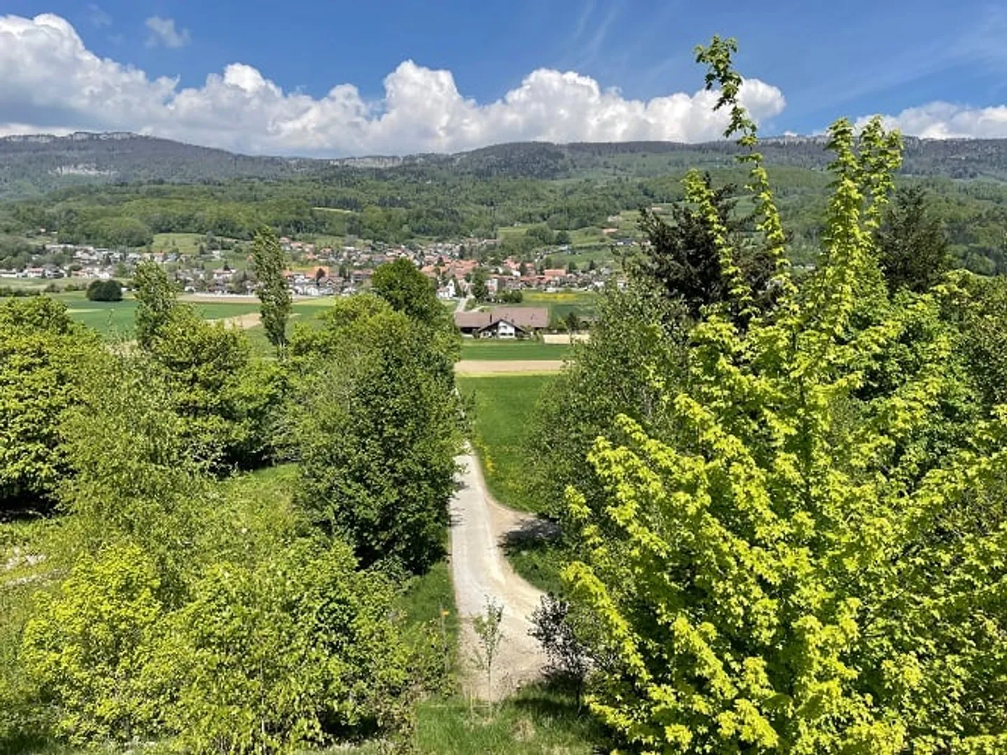 Cool 2 1/2 Room Loft Apartment with Fantastic Views - Photo 17 of 17