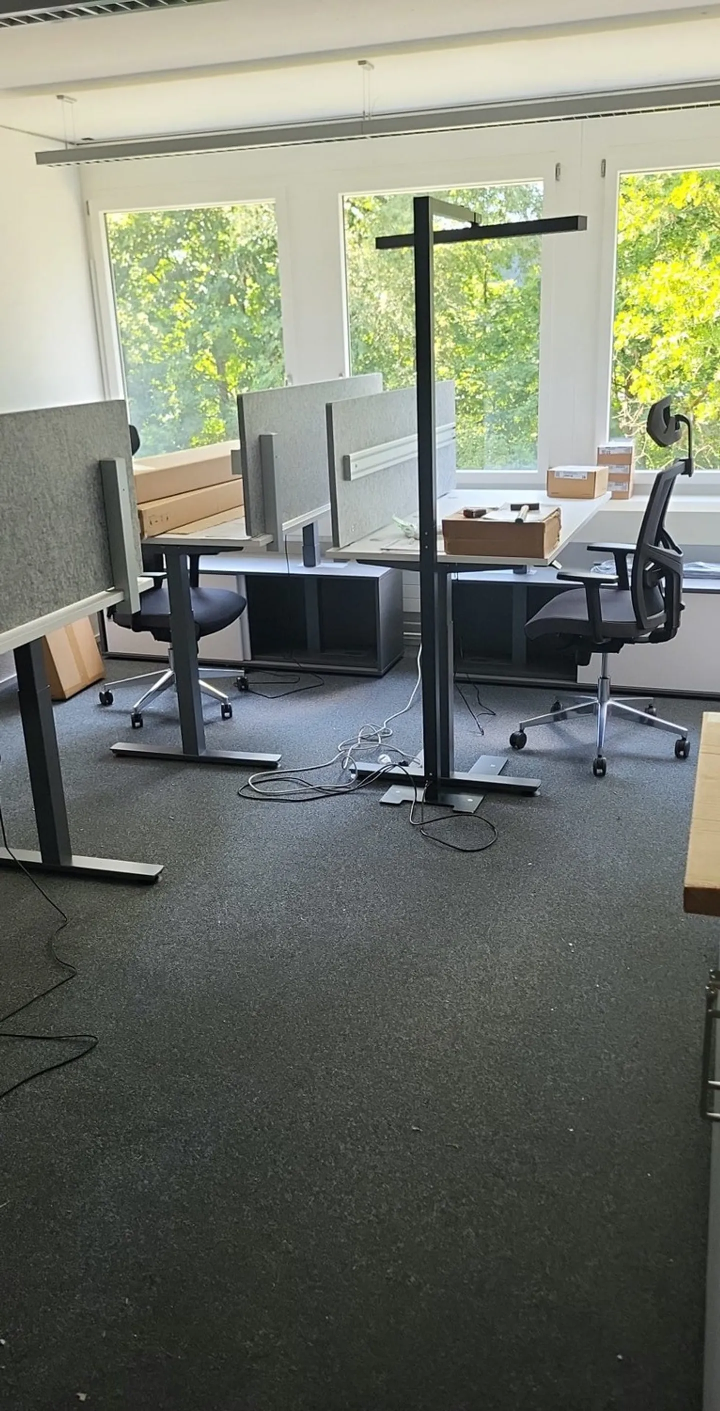 Modernes Coworking-Büro in Zug - Foto 5 von 13
