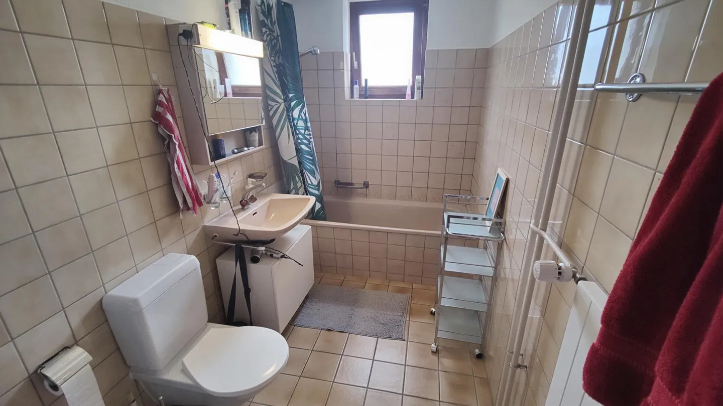 Cozy apartment in a central and quiet location! - Photo 12 of 14