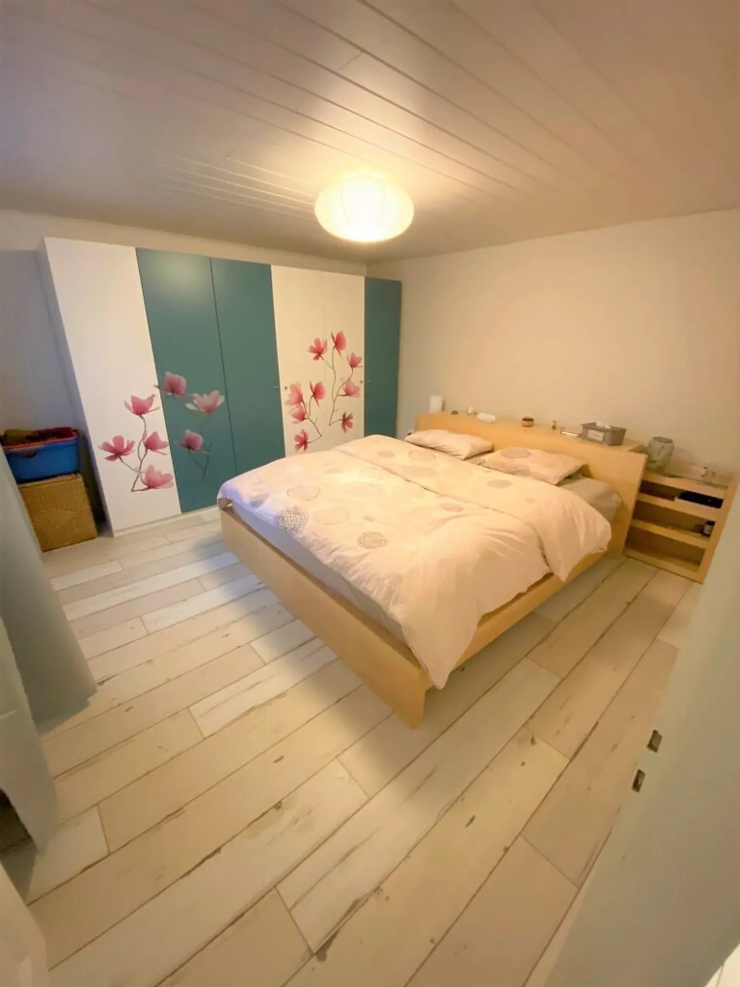 Casa singola in affitto - Foto 7 di 13