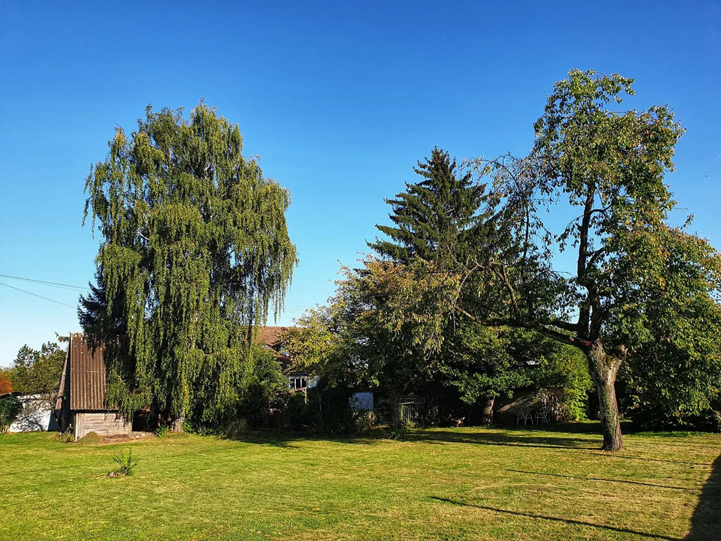 Limitato fino al 30.9.2026 - Appartamento d'epoca di 3,5 stanze con fascino - Foto 12 di 14