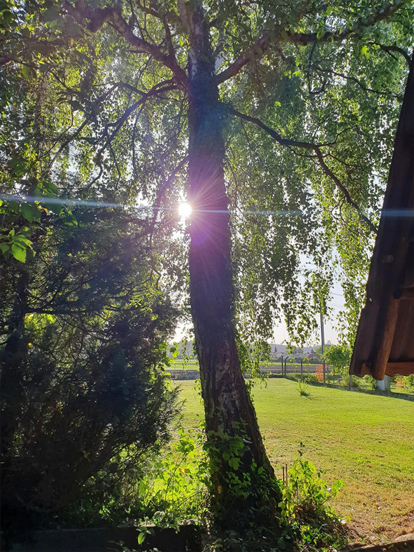 Limitato fino al 30.9.2026 - Appartamento d'epoca di 3,5 stanze con fascino - Foto 11 di 14