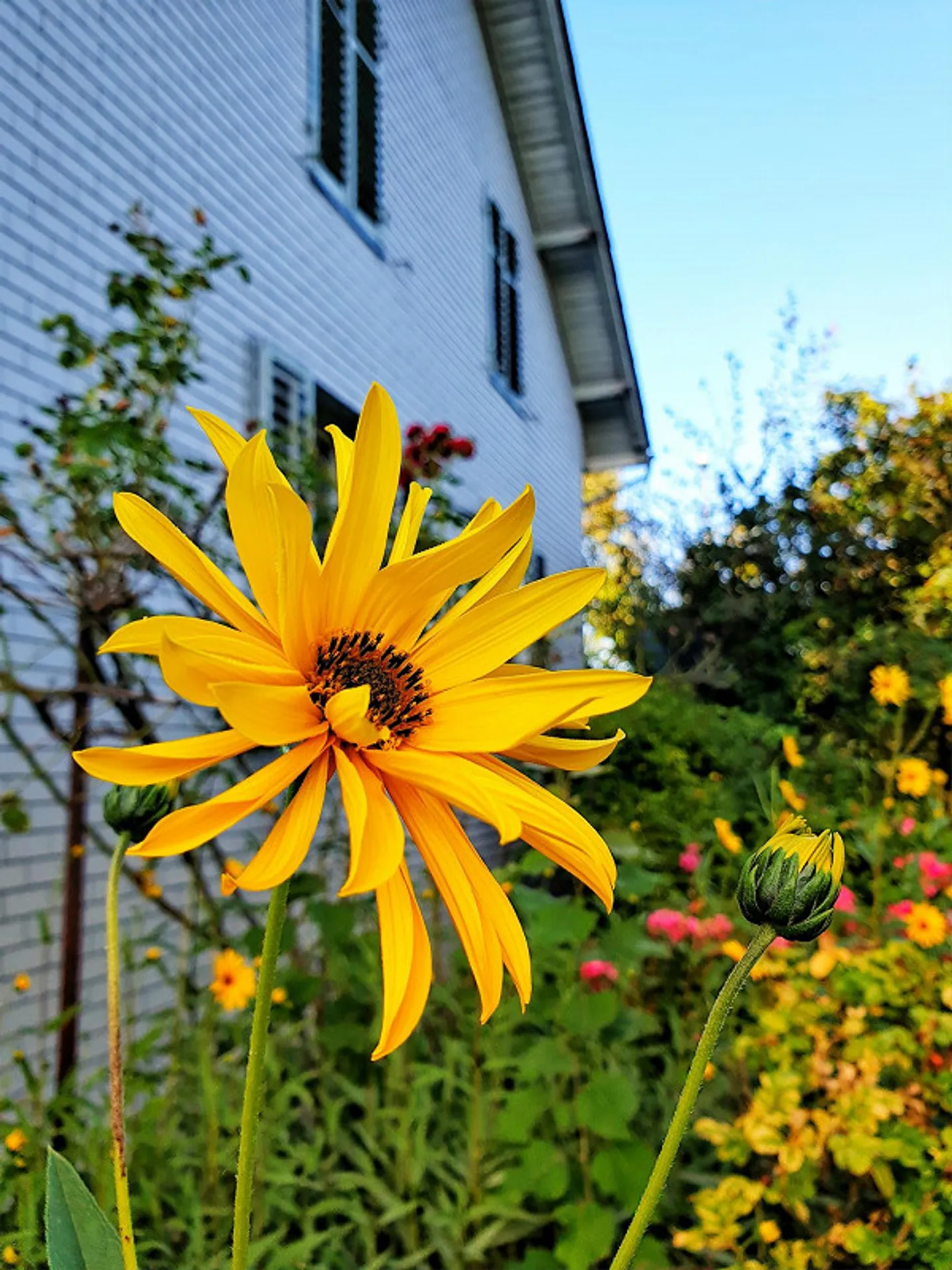 Limitato fino al 30.9.2026 - Appartamento d'epoca di 3,5 stanze con fascino - Foto 13 di 14