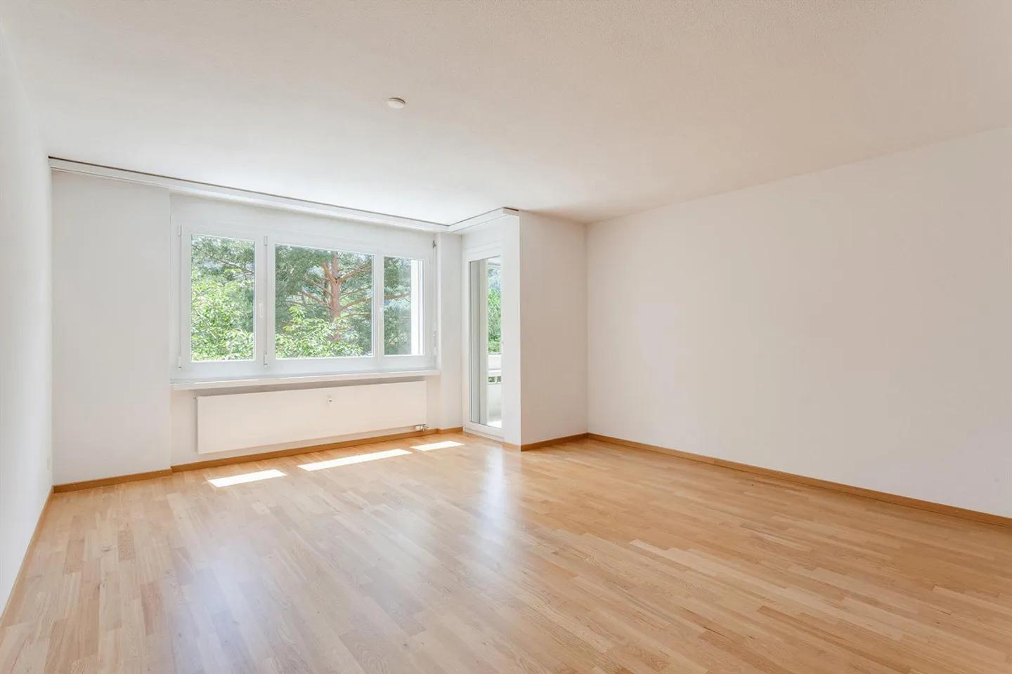 Geräumige moderne Wohnung - Foto 2 von 8
