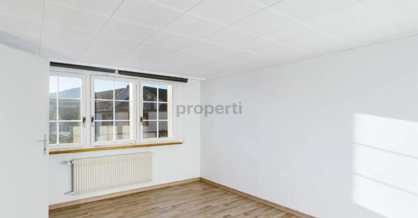 Plenty of Space and Storage in the Heart of Appenzell - Photo 8 of 12