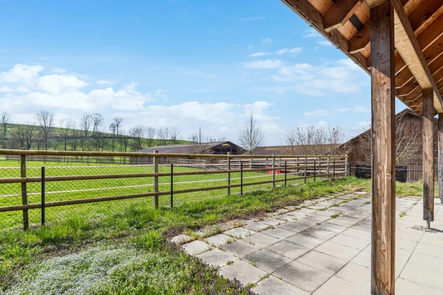 Proprietà equestre con maneggio e casa residenziale - Foto 14 di 24