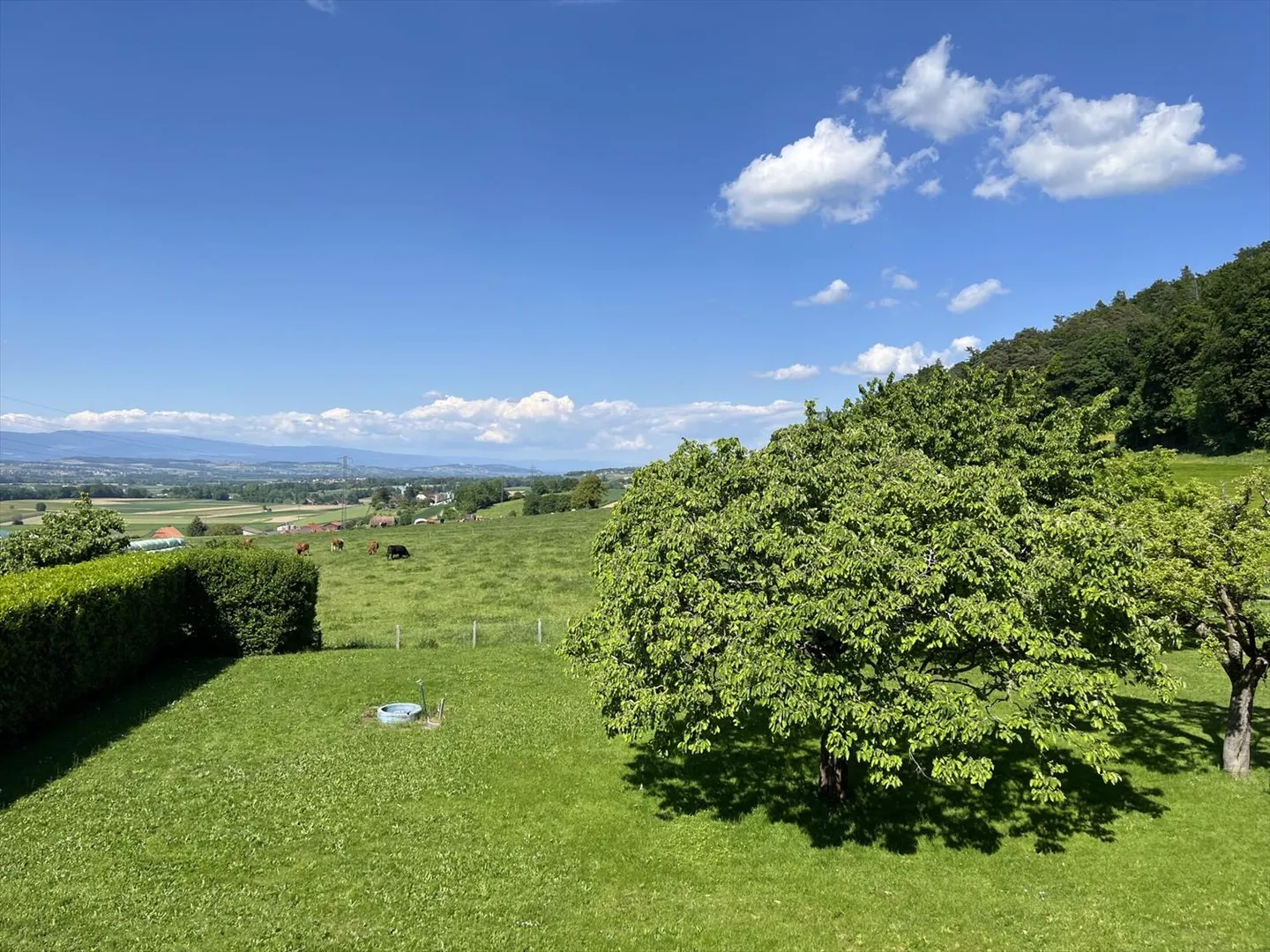 AVEC UN ENORME POTENTIEL, AU CALME - Photo 7 sur 11