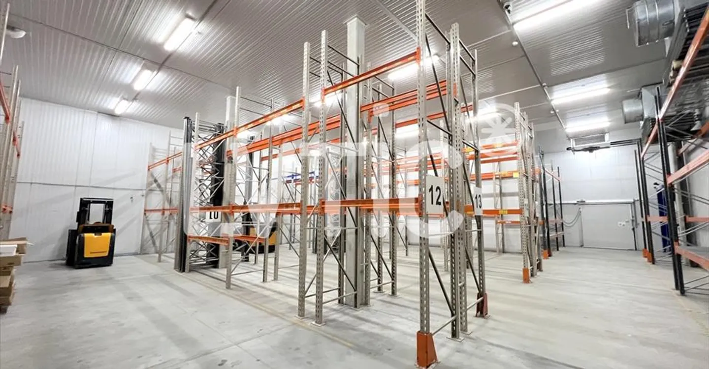 Sito industriale di 5500 m2 divisibili in affitto vicino a Nyon - Foto 4 di 13