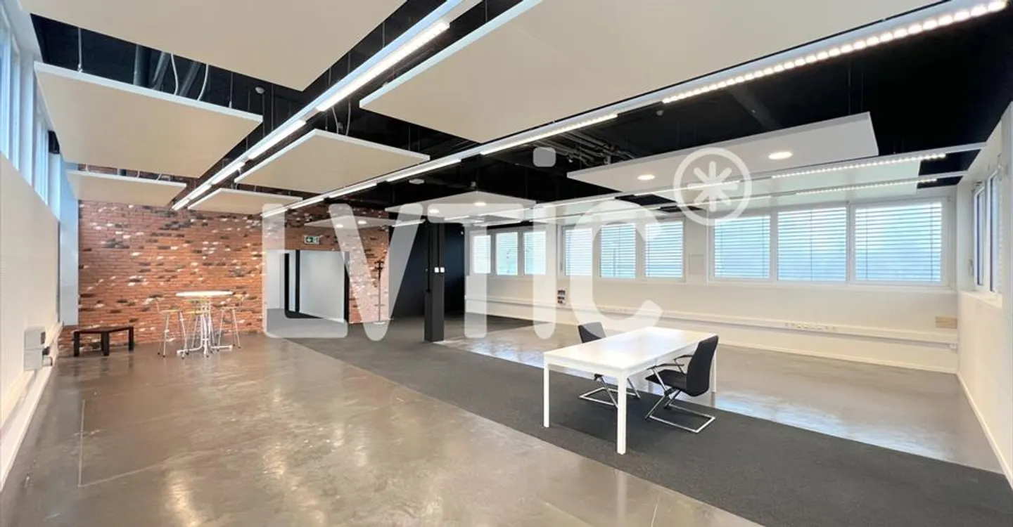 Sito industriale di 5500 m2 divisibili in affitto vicino a Nyon - Foto 11 di 13