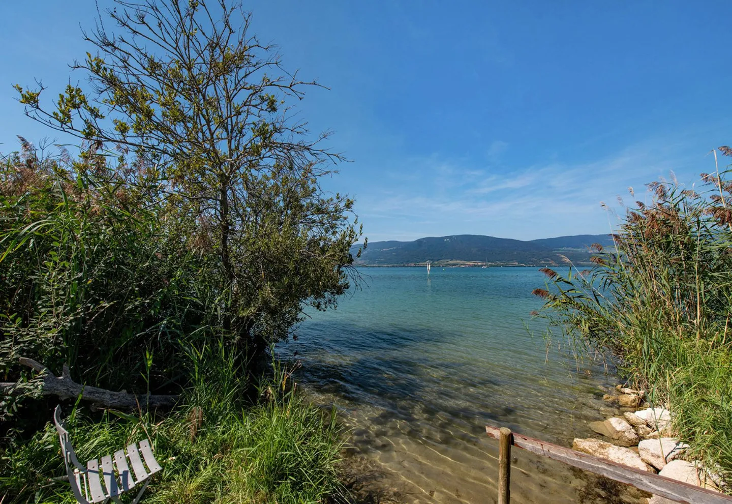 Living Experience by the Lake - Photo 15 of 15