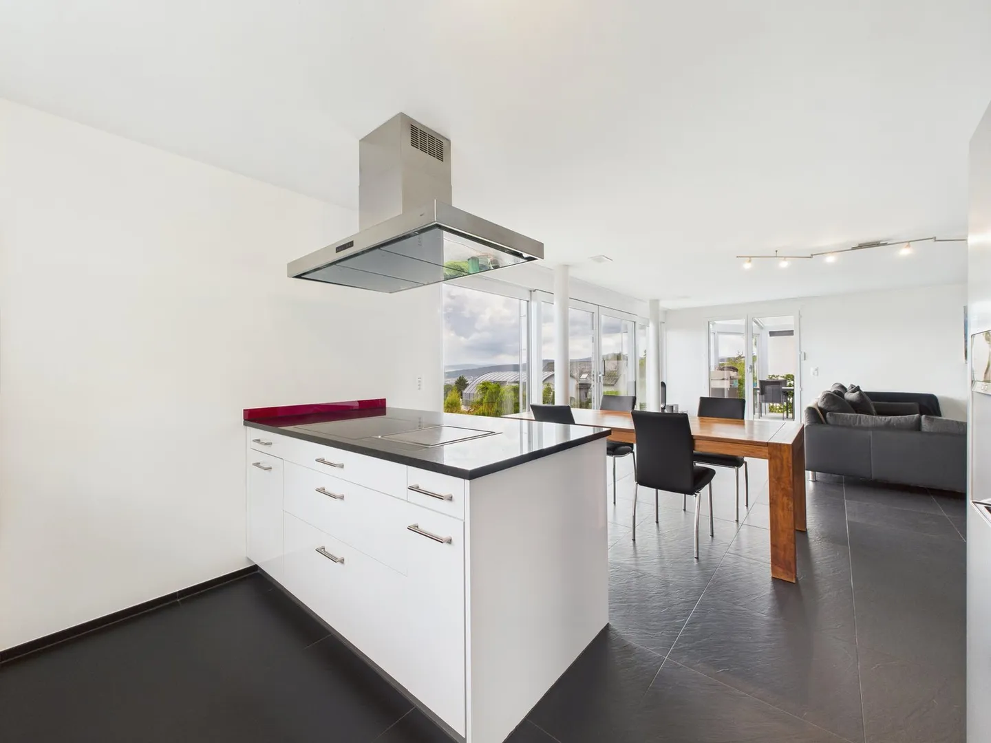 Terrace Jewel with a View over Zurich - Photo 8 of 21