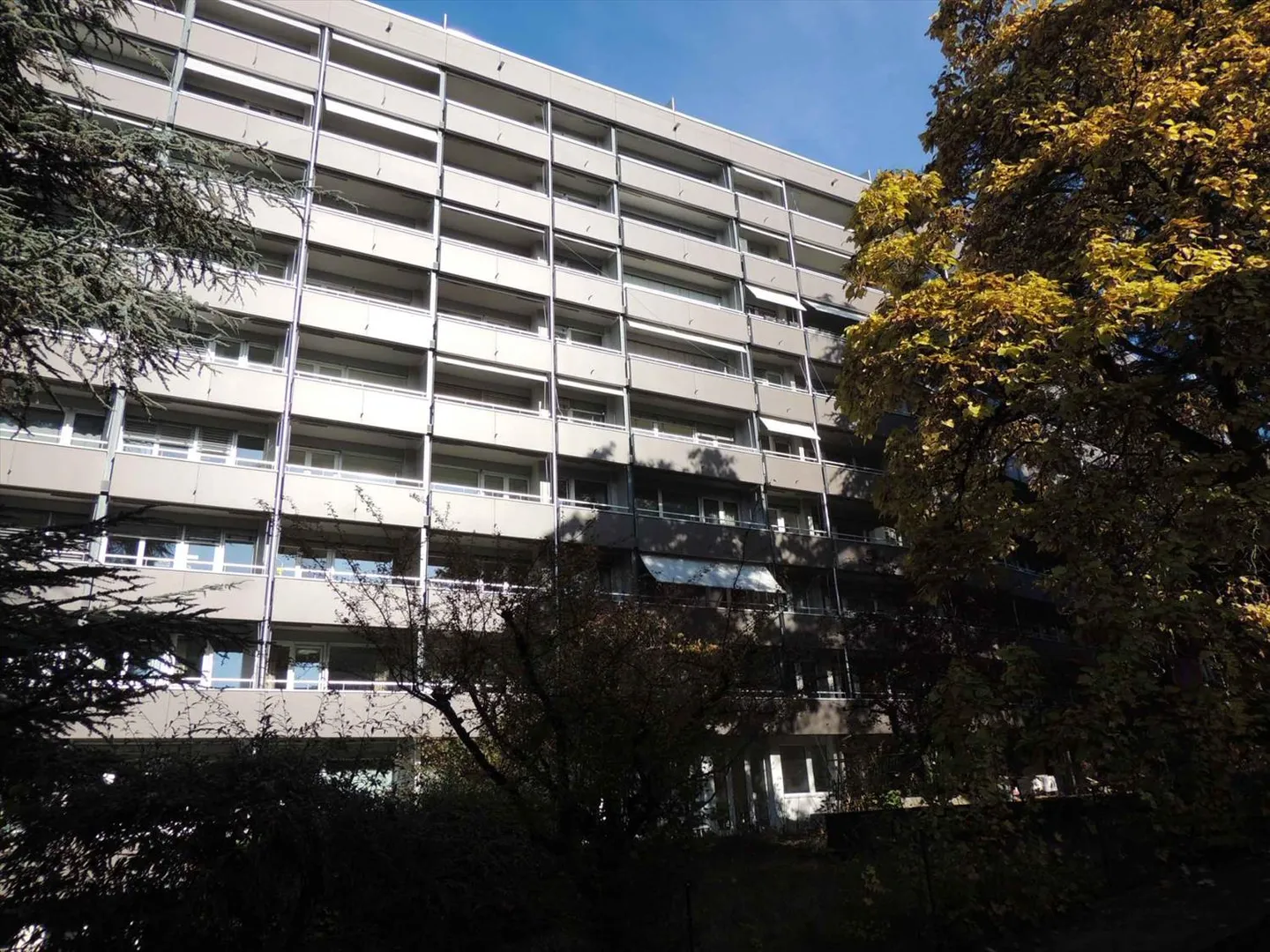 Appartement 1 pièce - Photo 1 sur 8