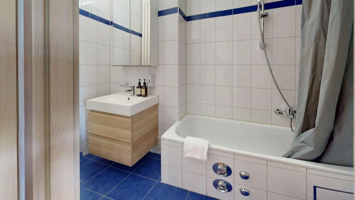 Unique Serviced Living @ Basilea SBB / Gundeldingen - Foto 8 di 8