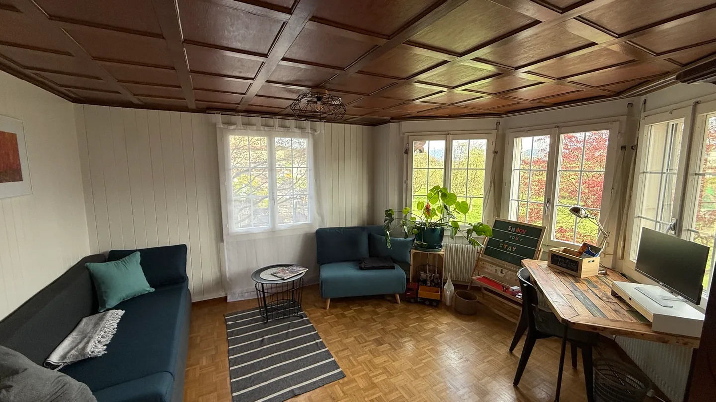 3½ ROOM APARTMENT IN BALLWIL (LU), FURNISHED, TEMPORARY - Photo 8 of 10