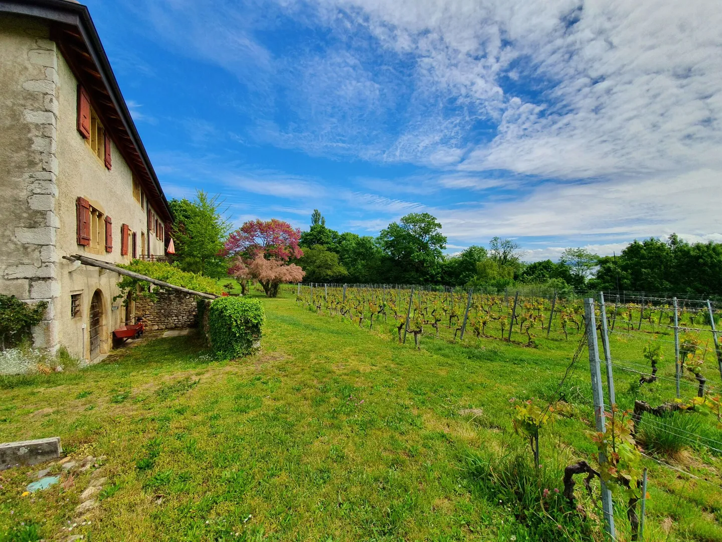 Magnifico appartamento con giardino e vista lago - Foto 1 di 14