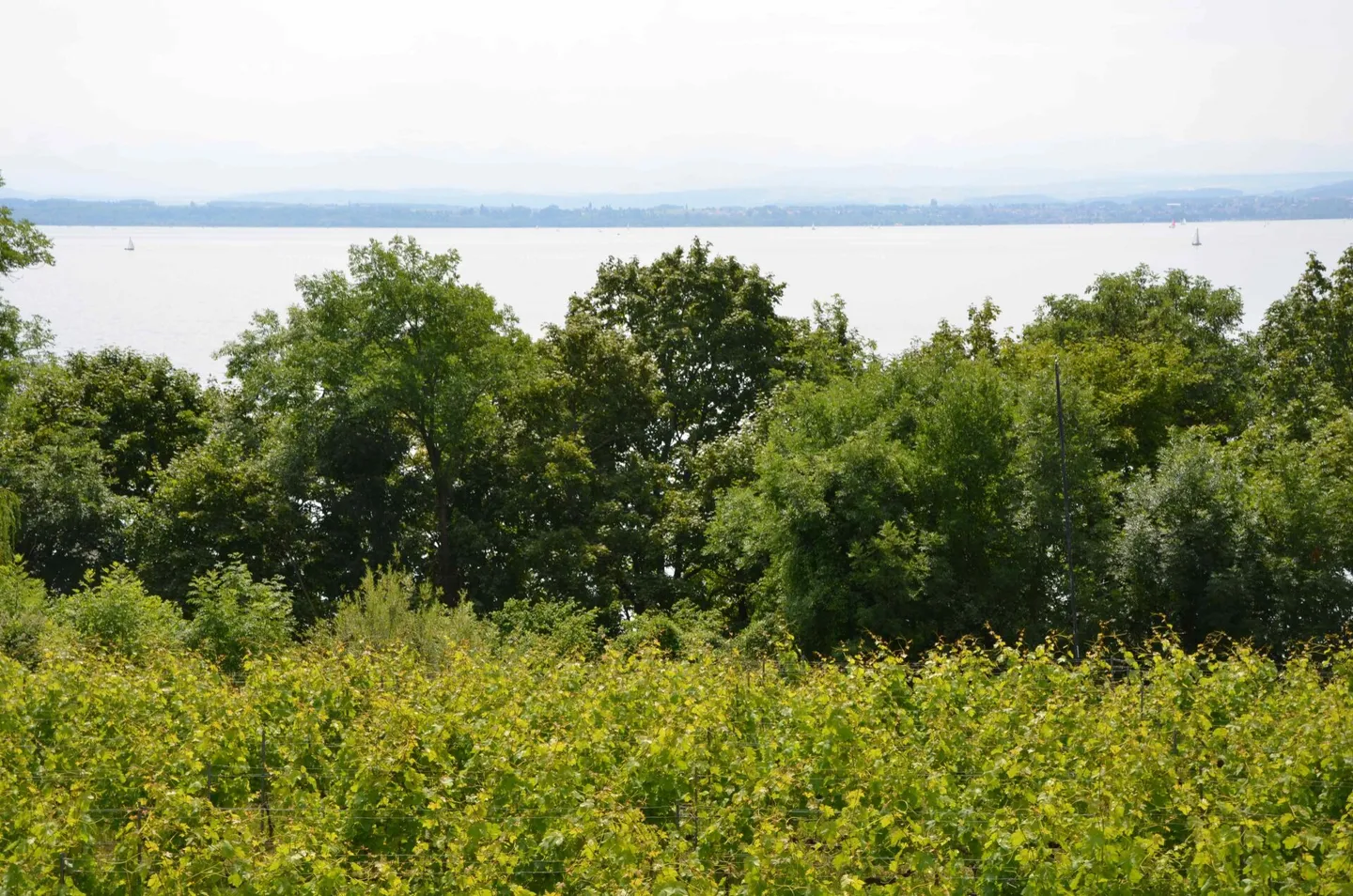 Magnifico appartamento con giardino e vista lago - Foto 14 di 14