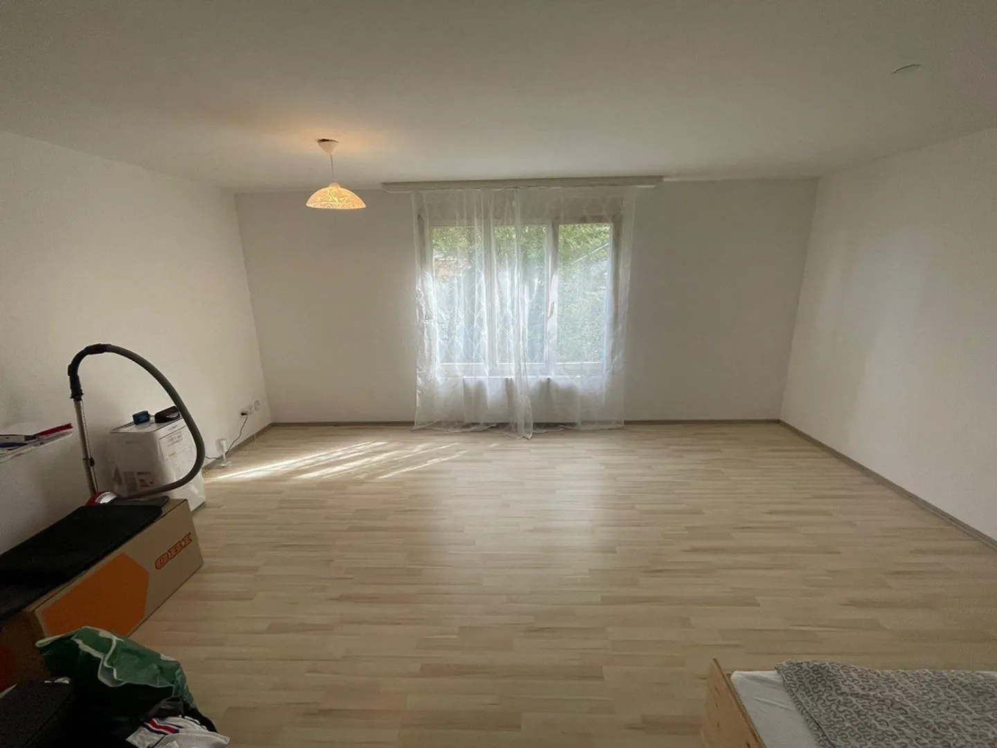 Appartamento 1 stanza a Neuhausen - Foto 3 di 5
