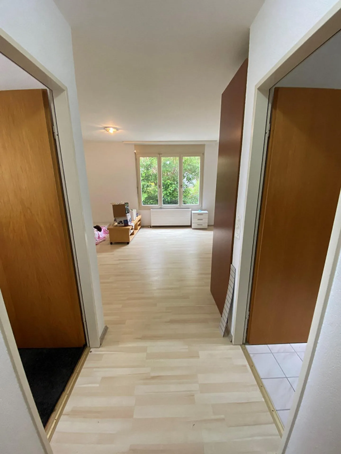 Appartamento 1 stanza a Neuhausen - Foto 5 di 5