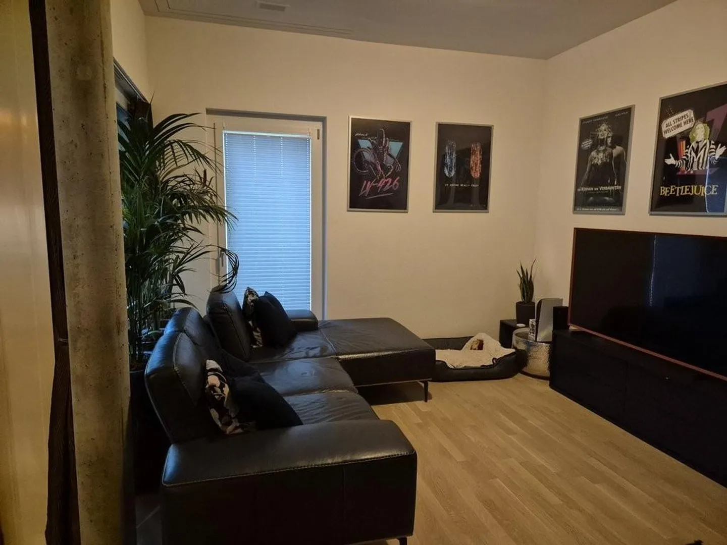 3.5-Room Apartment with Terrace - Modern & Central - Photo 1 of 6