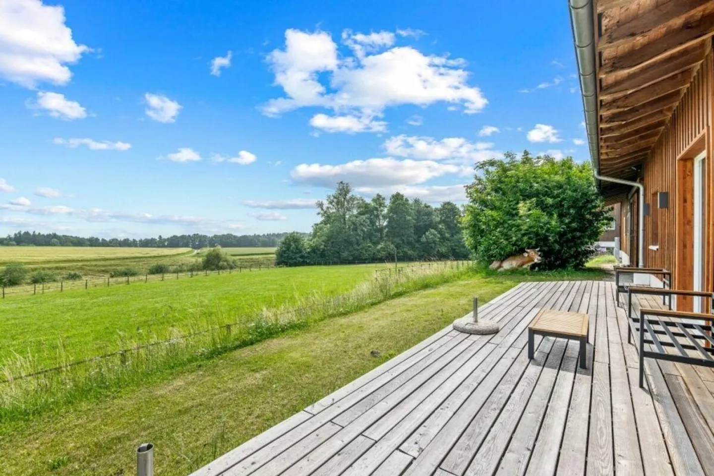 Equestrian Property! An Oasis for Well-Being! - Photo 3 of 18