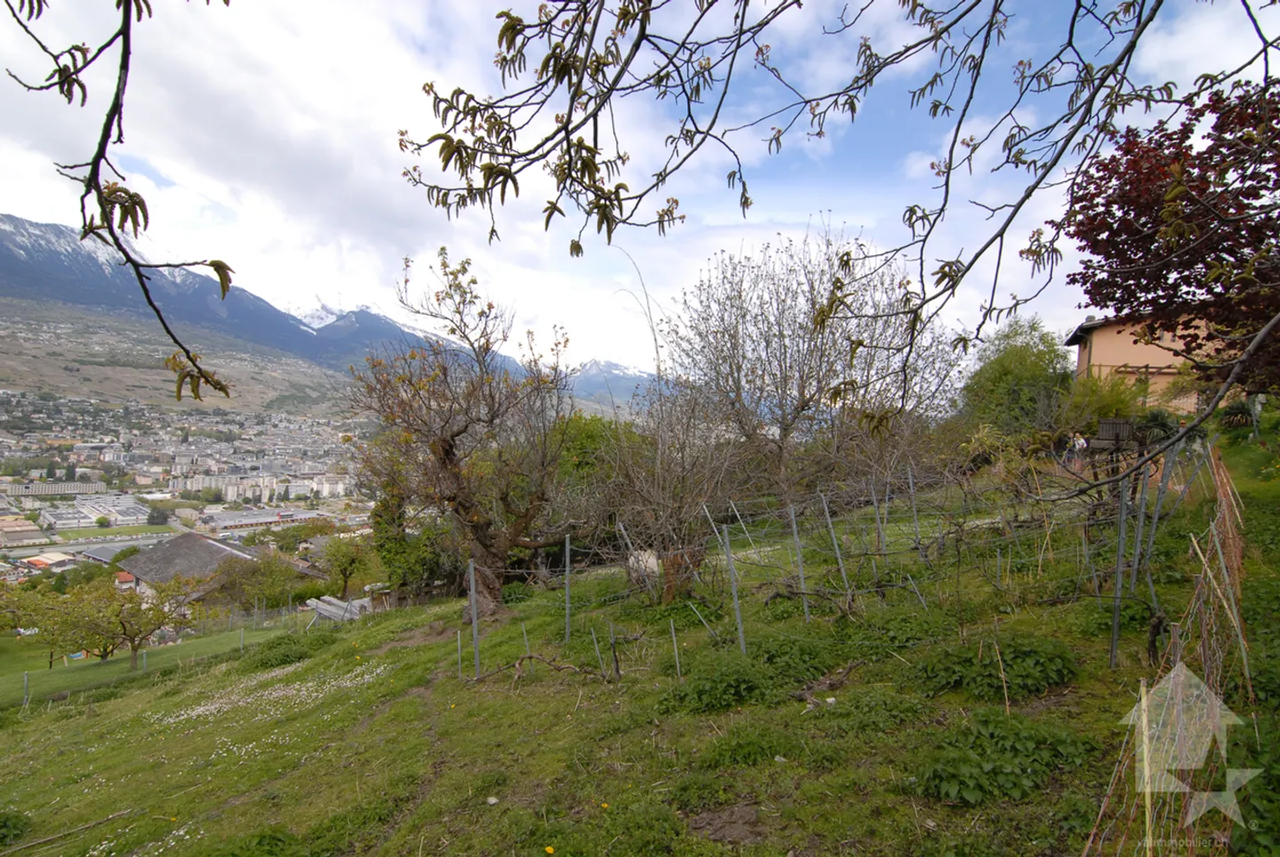 Magnificent land in Salins - Photo 7 of 13