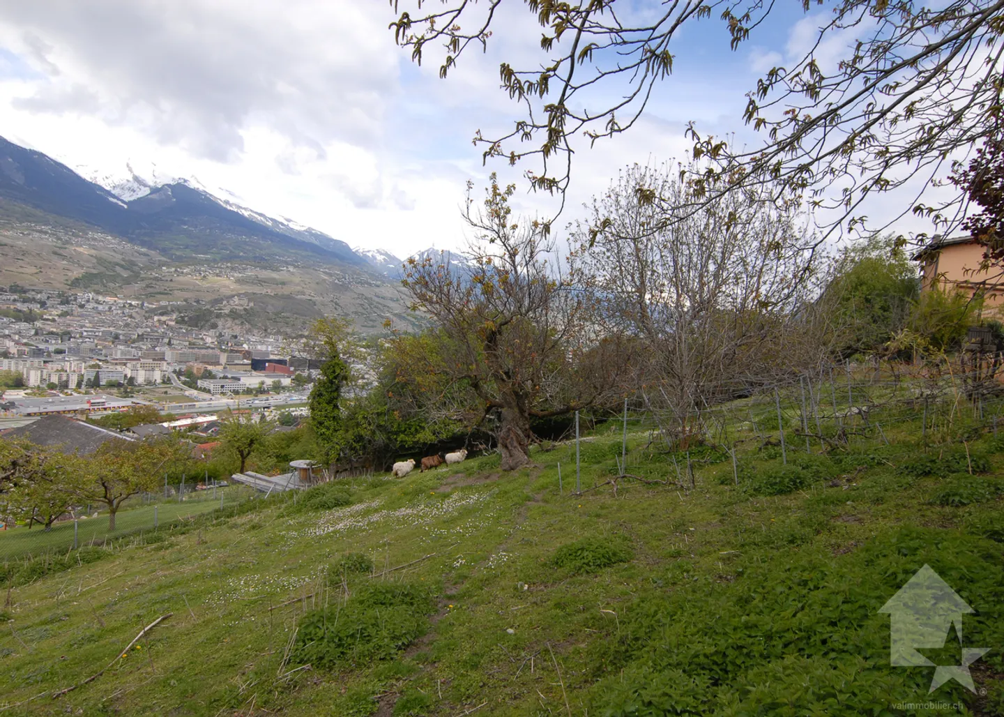 Magnificent land in Salins - Photo 8 of 13