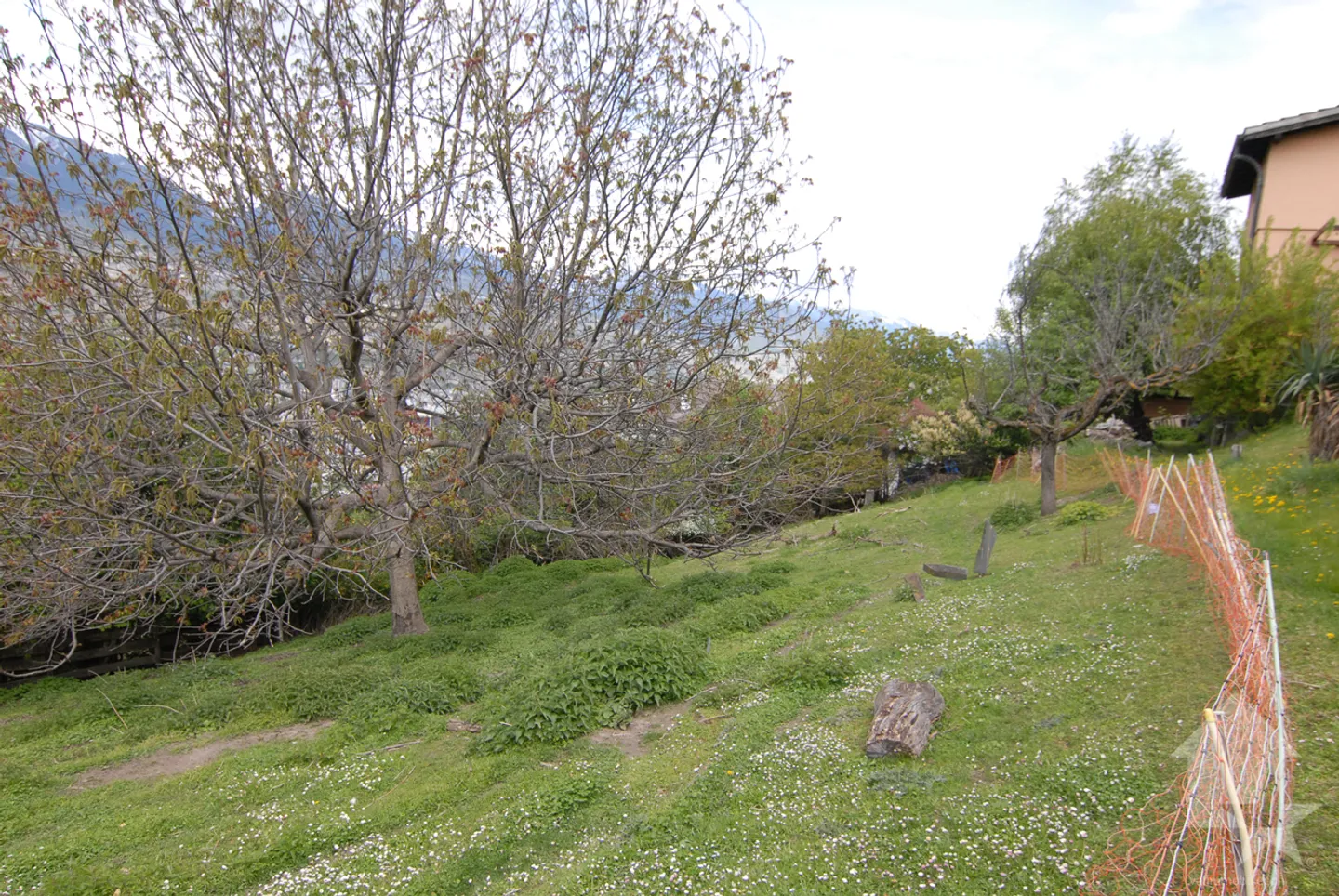 Magnificent land in Salins - Photo 10 of 13