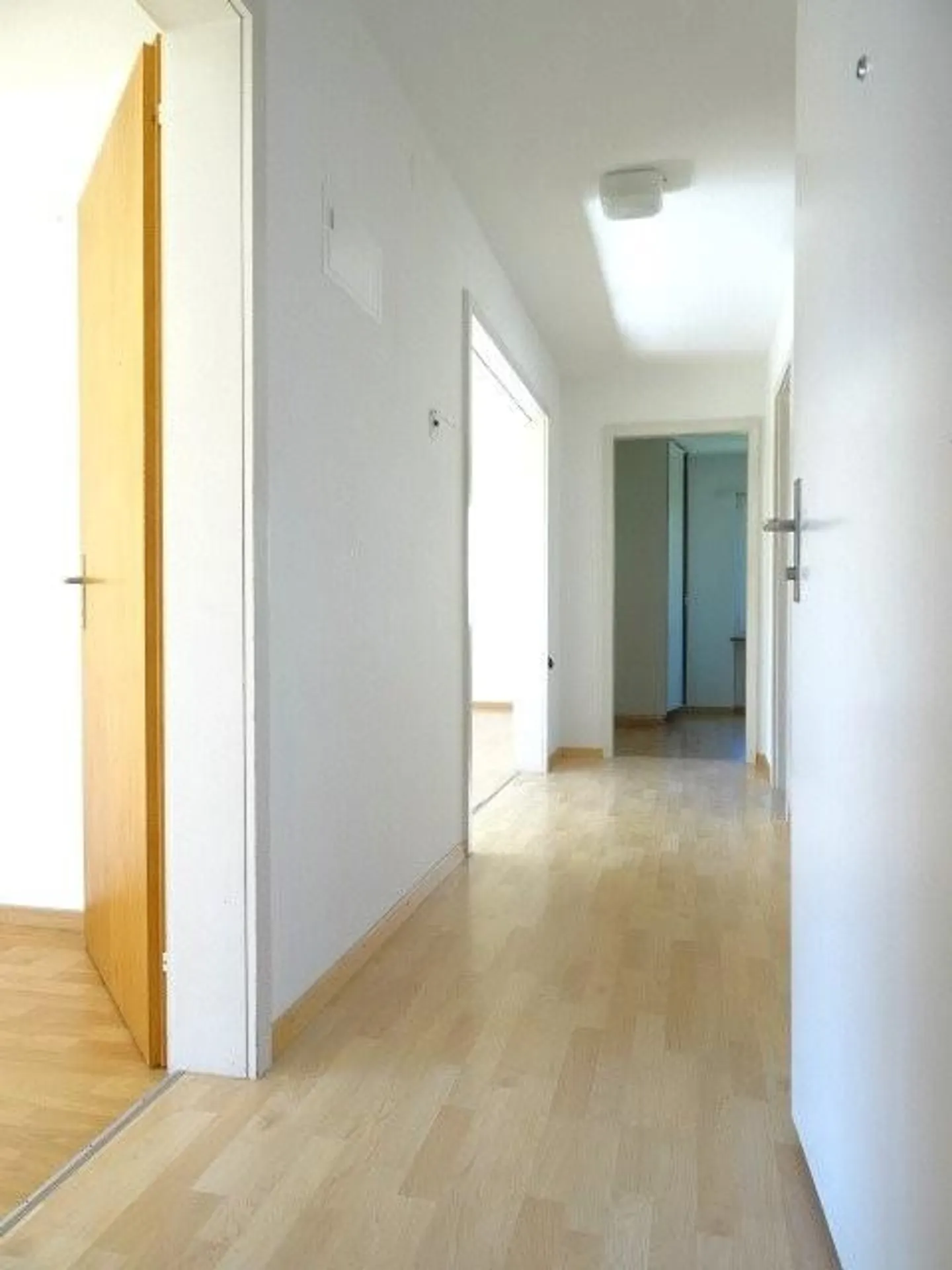 Ruhige 3-Zimmer Wohnung im Grünen - Foto 8 von 9