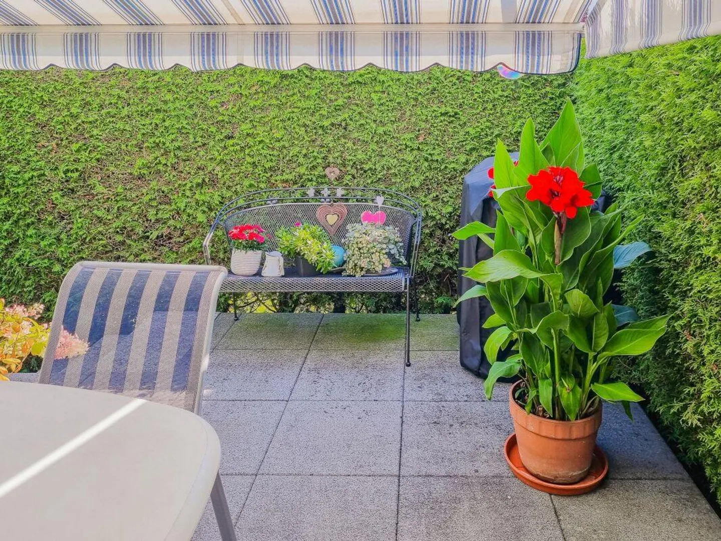 Kleines Glück mit grossem Garten - Foto 10 von 11