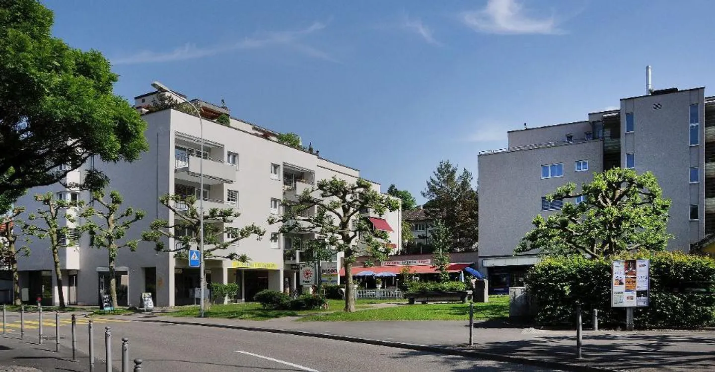 Charmante Wohnung in Adliswil - Foto 1 von 8
