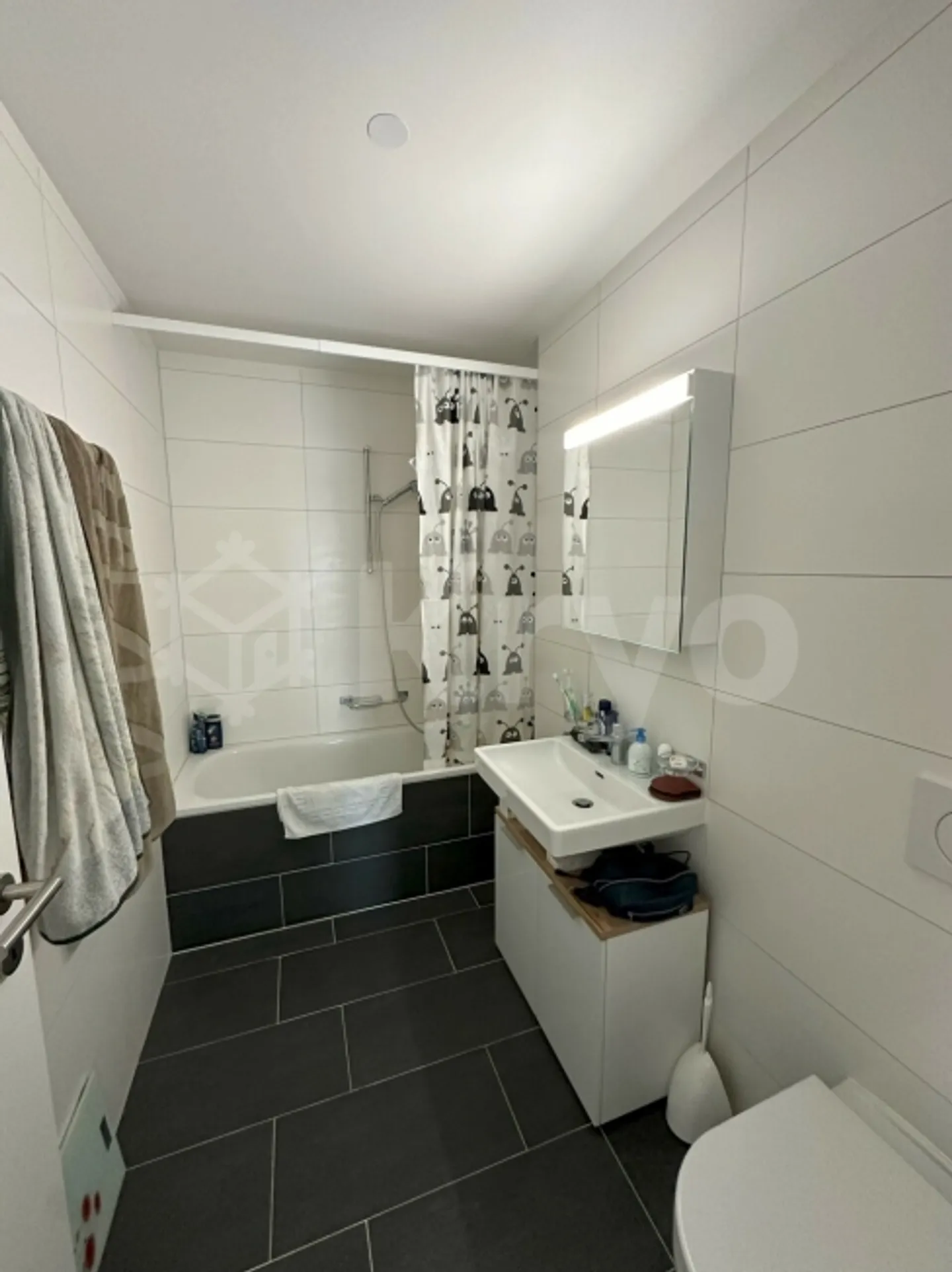 Impasse des Alpes 11 / 3.5 Rooms with Balcony - Photo 6 of 8