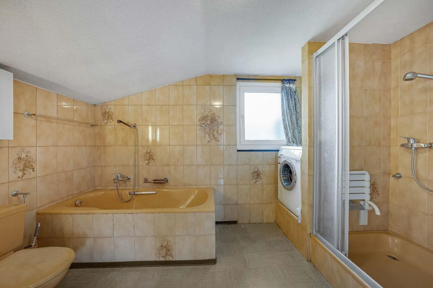 Development Area with Existing Property - Photo 7 of 10