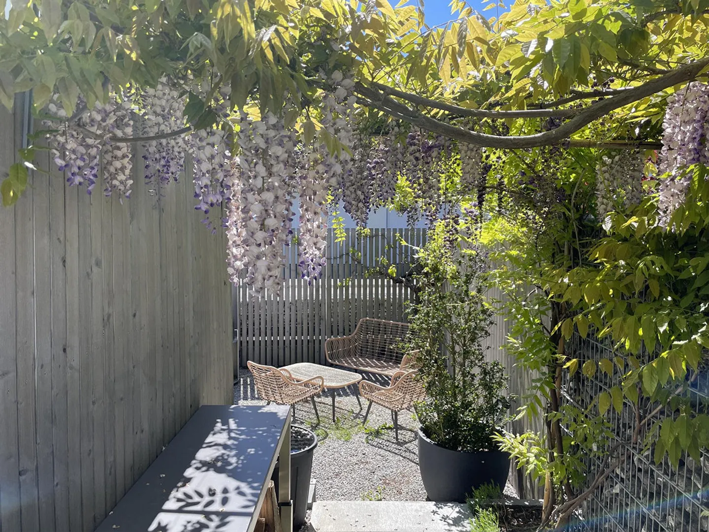 Single-family house with a separate apartment - garden and wellness dream included. - Photo 6 of 24