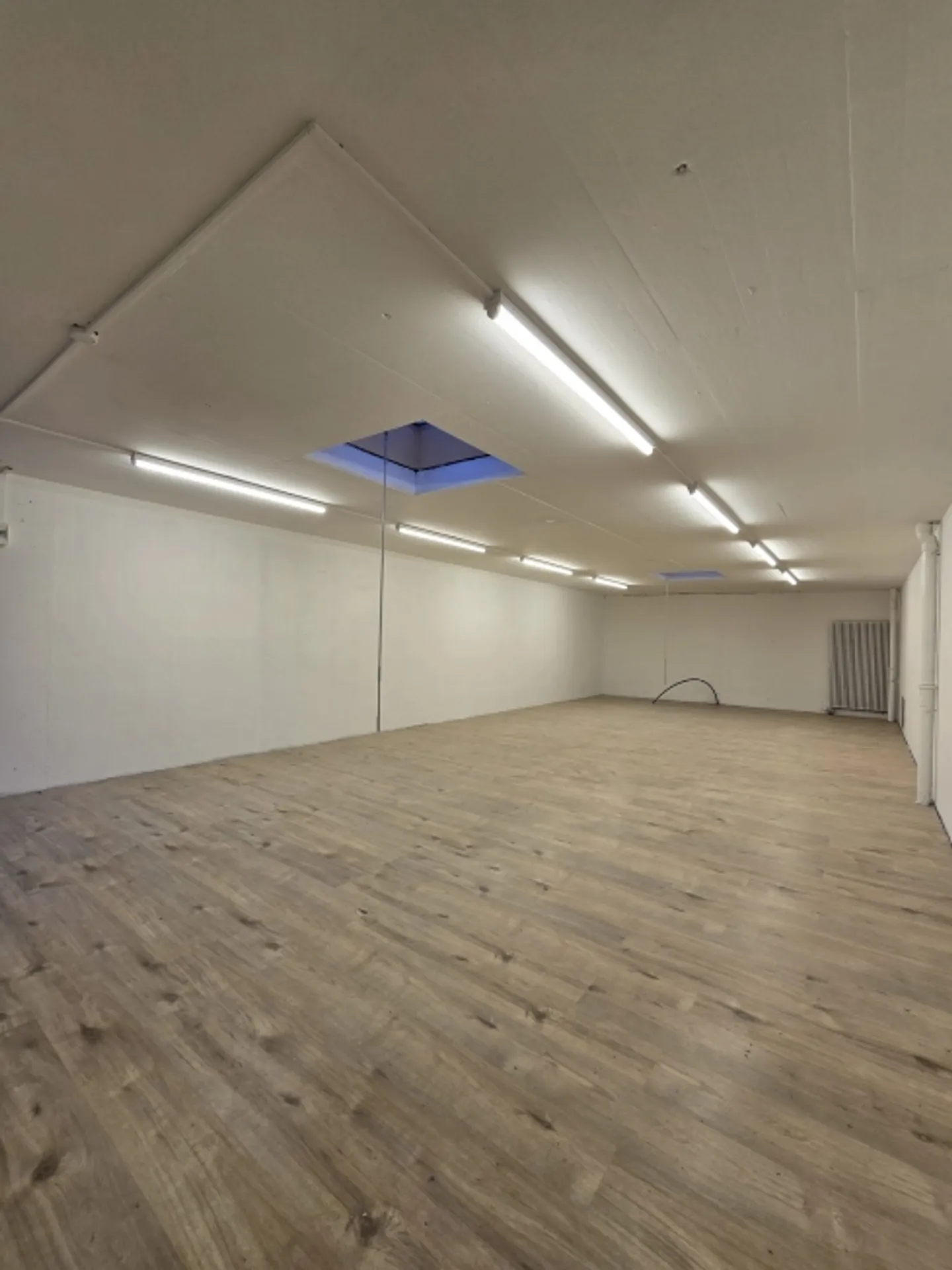 Salle de stockage et de loisirs dans l'industrie silencieuse - Photo 2 sur 3