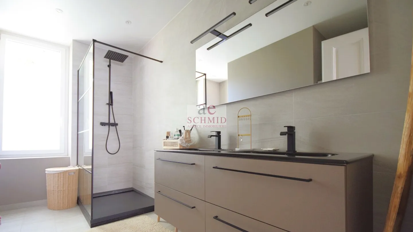 Magnifica villa indipendente a due passi dalla stazione ferroviaria di Eaux-Vives - Foto 5 di 9