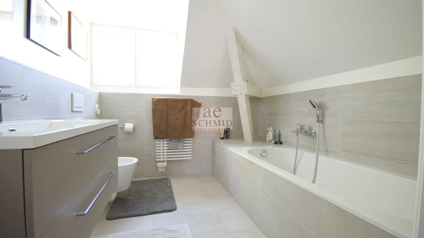 Magnifica villa indipendente a due passi dalla stazione ferroviaria di Eaux-Vives - Foto 7 di 9