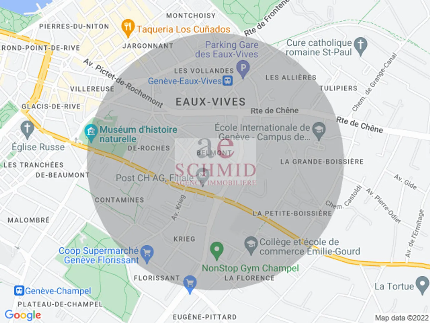 Magnifica villa indipendente a due passi dalla stazione ferroviaria di Eaux-Vives - Foto 9 di 9