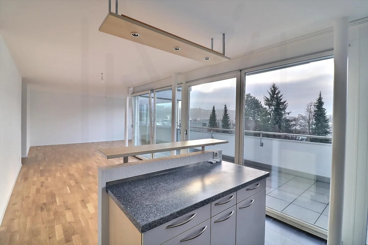 Magnificent 4.5-room penthouse apartment with renovated features and breathtaking views of the Moléson and the city of Bulle! - Photo 4 of 13