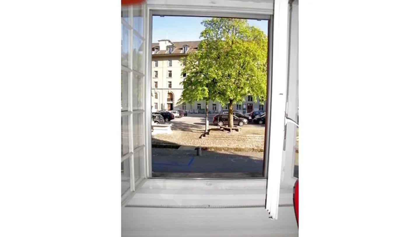 APPARTEMENT 3½ BR À BERN - TAPIS, MEUBLÉ, TEMPORAIRE - Photo 9 sur 10