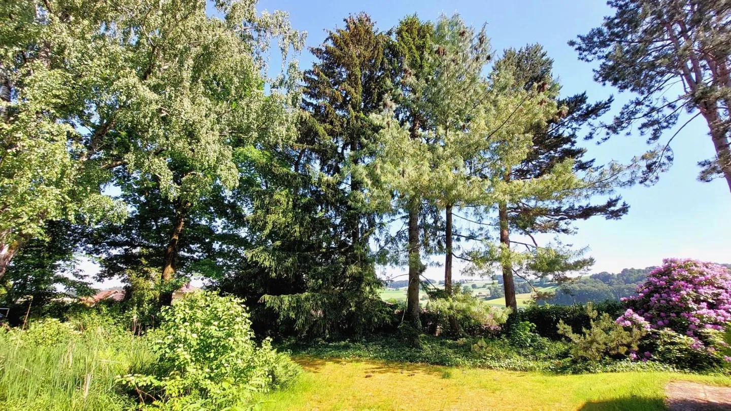 Casa di campagna con grande giardino e riserva di costruzione - Foto 4 di 6