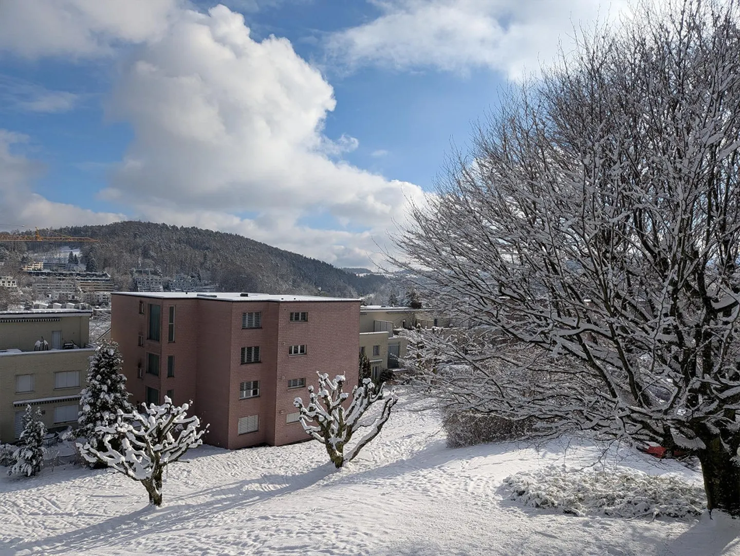 Appartement de 2,5 pièces à la lisière de la nature à Adliswil - Photo 7 sur 10